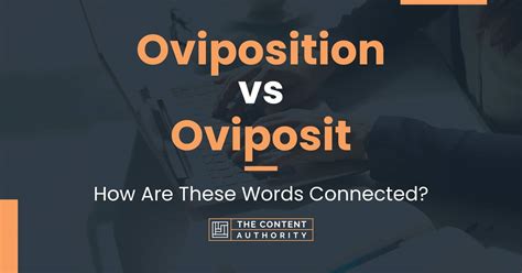 oviposition|oviposition meaning urban.